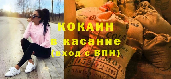 твердый Алзамай