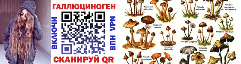 Псилоцибиновые грибы MAGIC MUSHROOMS kraken ССЫЛКА Мирный