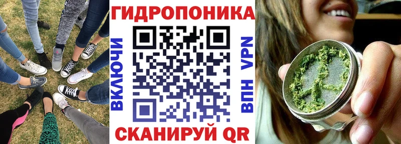 это состав  MEGA ТОР  Мирный  Шишки марихуана план 
